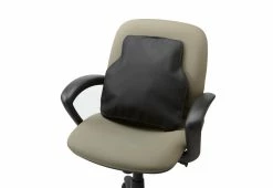 Best deal 🤩 Inflatable Lower Back Rest by Bodyryzm 🎉