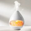 Discount 🎉 Himalayan Salt Lamp and Diffuser by Bear Down Brands, LLC 🔥